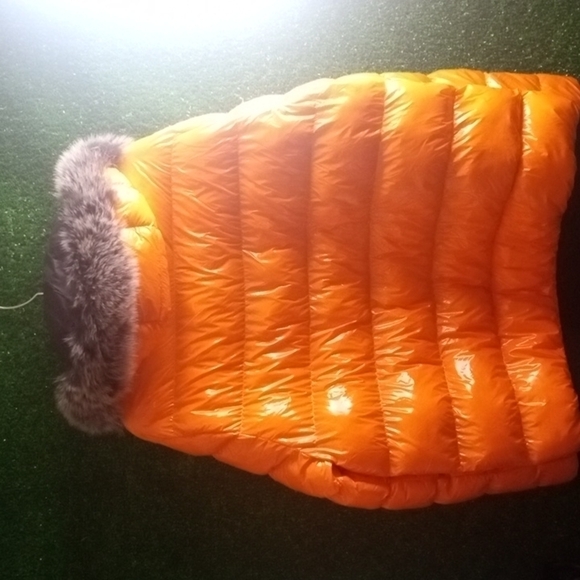 Avenue Georgia v Perris - Picture 4 of 4